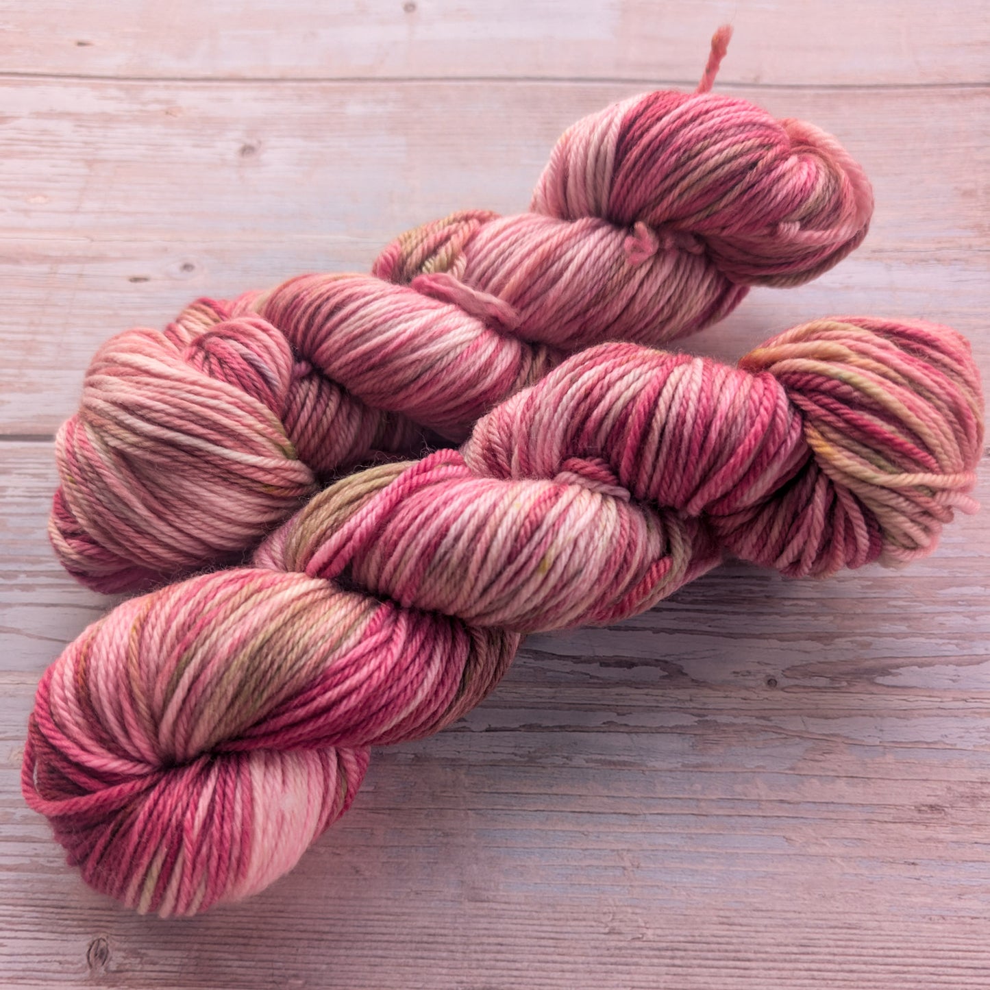 Rose Garden - Workhorse Sock Yarn Merino/Nylon 8ply/DK